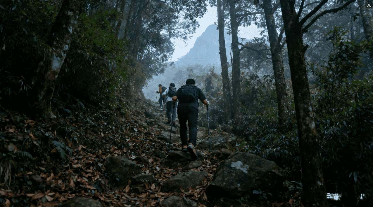 全面提升网络速度与稳定性的天行豆荚加速器使用指南